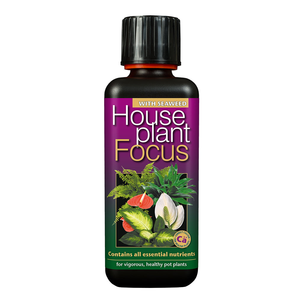 imgi_10_Houseplant-Focus-300-ml_0bb05e93-b744-4b70-85f3-e12b7c2a422d_1200x