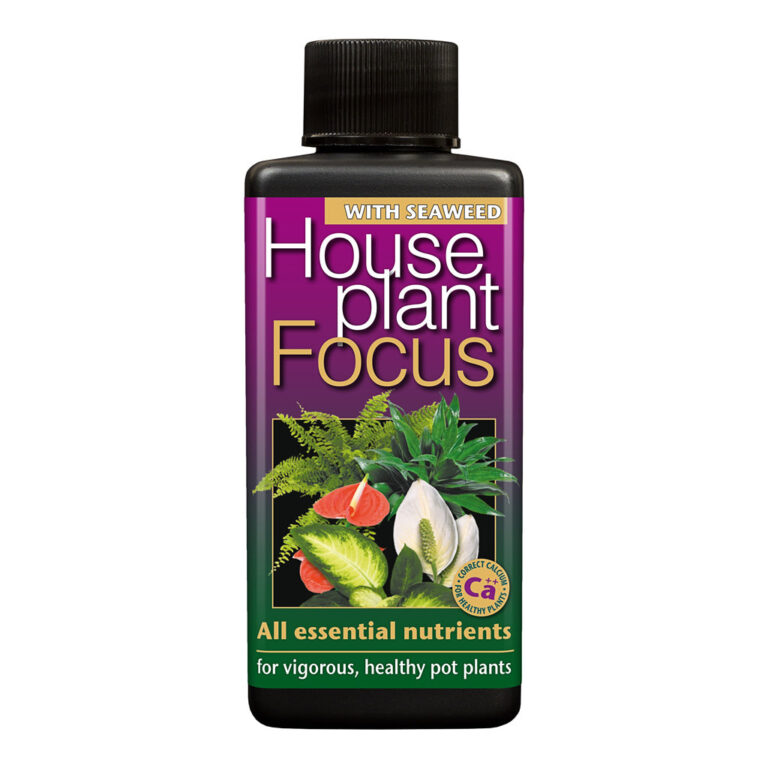 imgi_12_Houseplant-Focus-100-ml_7b606a0c-1d23-4a0e-9471-fe786b5dbcb8_1200x