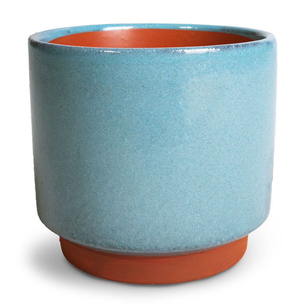 imgi_155_Malibu-Plant-Pot-Blue-14x13cm_d9abc6bb-fd9e-4ad9-8868-1023d2d2d4d8_1024x