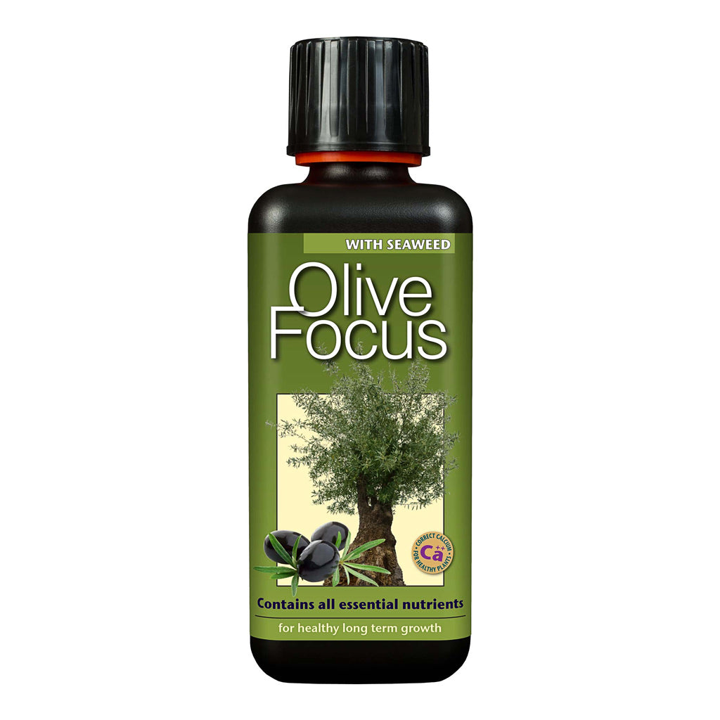 imgi_172_Olive-Focus-300-ml_8f3ed65b-f732-43d4-9eb2-7216612bdabf_1024x
