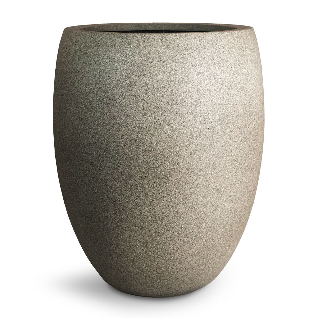 imgi_183_Grigio-Tall-Balloon-Planter-Natural-Concrete-40x50cm_d826c1fa-feb0-4f4a-80e2-ed2e93d4d4af_1024x