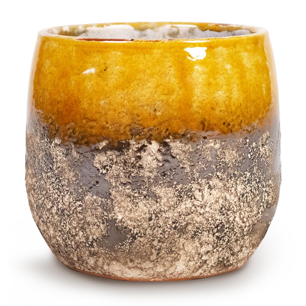 imgi_190_Lindy-Plant-Pot-Ochre-16x13cm_1024x (1)