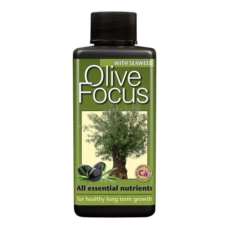 imgi_21_Olive-Focus-100-ml_e9a0ddc0-b273-46be-96fa-04991ba8b822