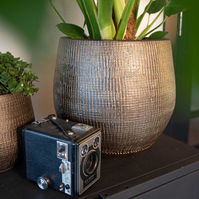 imgi_25_Ryan-Plant-Pot-Shiny-Gold-Lifestyle-02_1600x