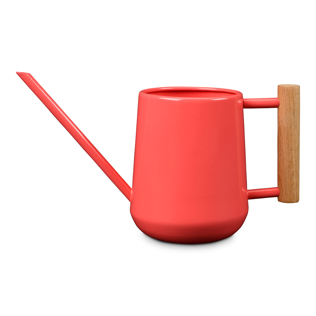 imgi_2_Indoor-Watering-Can-0