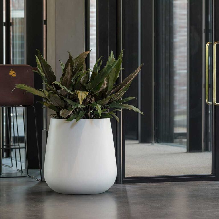 imgi_300_pax-planter-essential-matte-white-office-plants