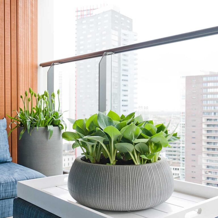 imgi_33_Eileen-Planter-Ridged-Dark-Grey-Housplants_2000x