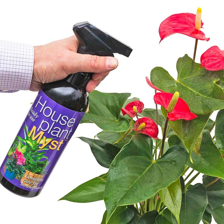 imgi_33_Spraying-Houseplant-Myst-750ml_2000x