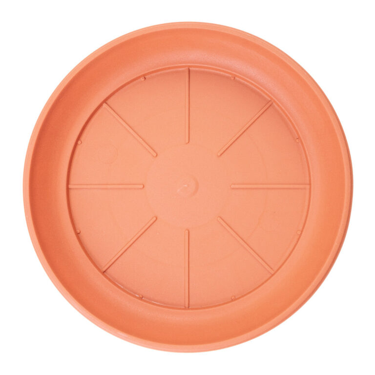 imgi_40_Houseplant-Pot-Saucer-Terracotta-20x3cm-Top_2000x