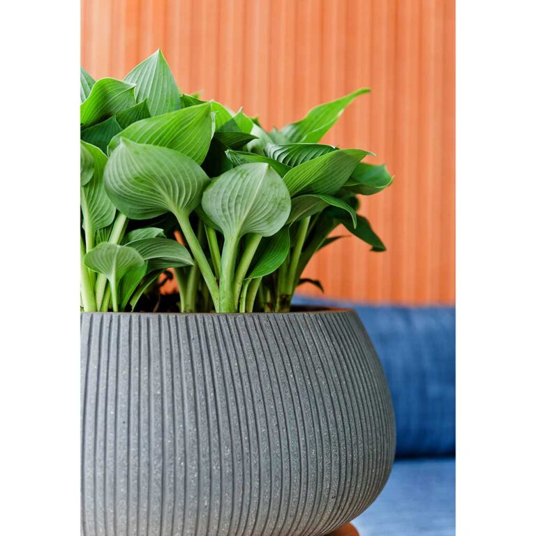 imgi_41_Eileen-Planter-Ridged-Dark-Grey-Texture_5000x