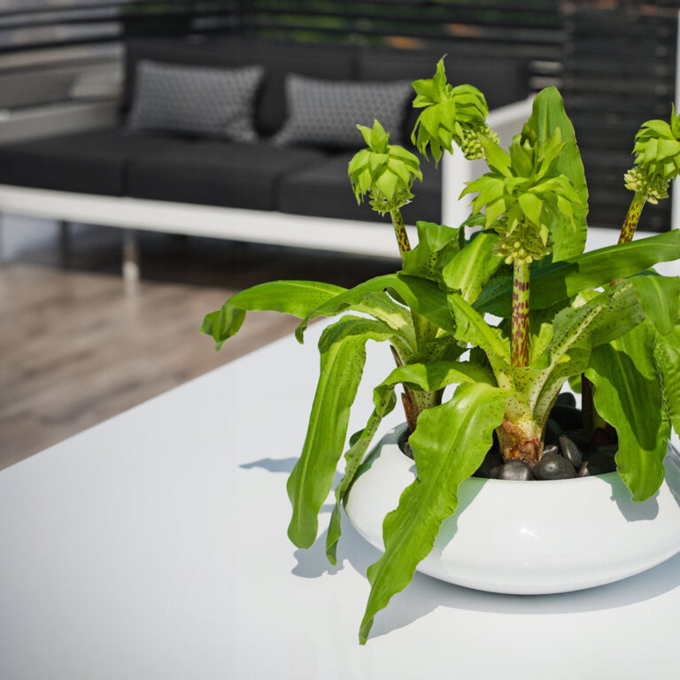 imgi_42_essential-glossy-tara-2_2000x