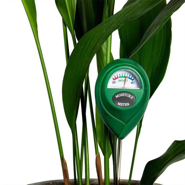 imgi_45_Houseplant-Moisture-Meter-Aspidistra_2000x