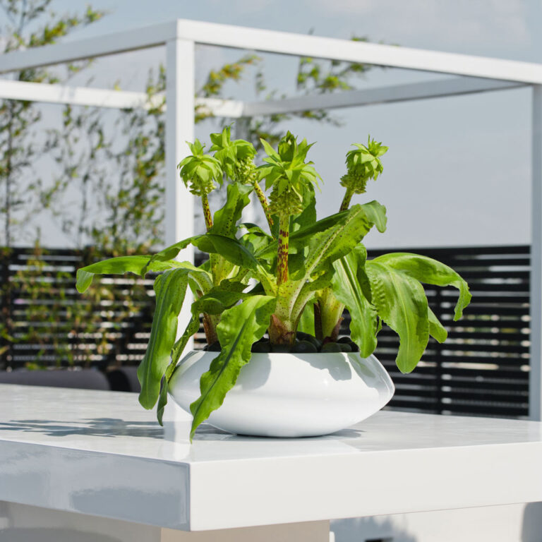 imgi_45_essential-glossy-tara-1_2000x