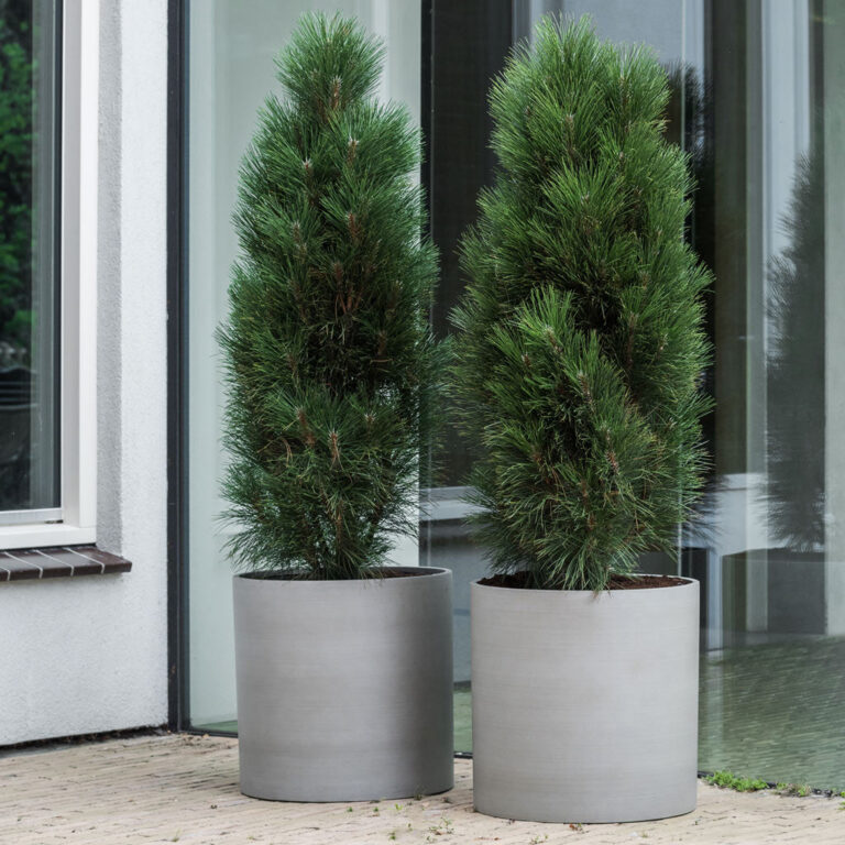 imgi_45_pottery-pots-refined-max-25_2000x