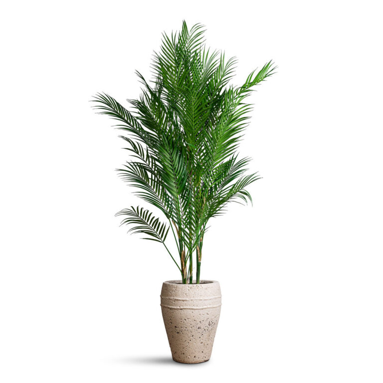 imgi_46_Chamaedorea-Palm-Parlour-Palm-Artificial-120cm-Ares-Mediterranean-Planter-Chalk-White-27x32cm_5000x