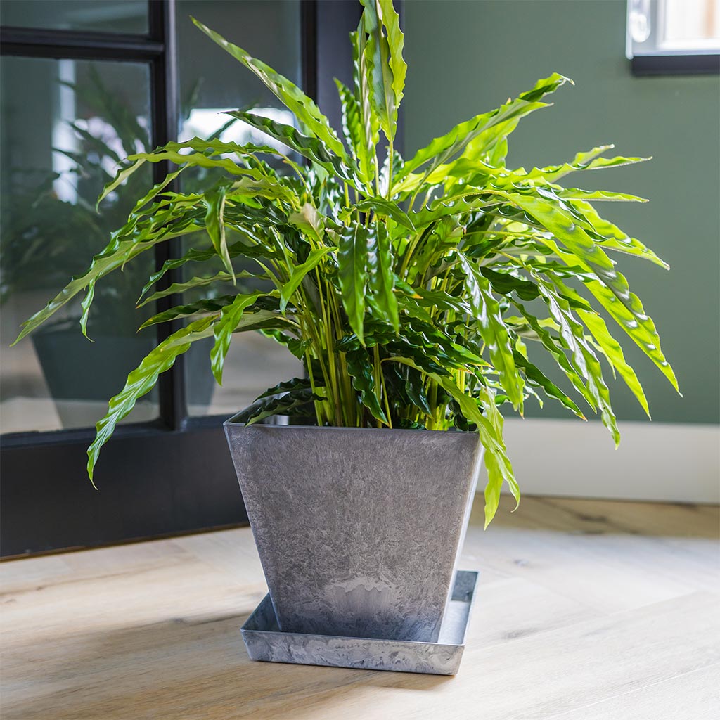 imgi_47_Ella-Artstone-Plant-Pot-Grey-4_2000x