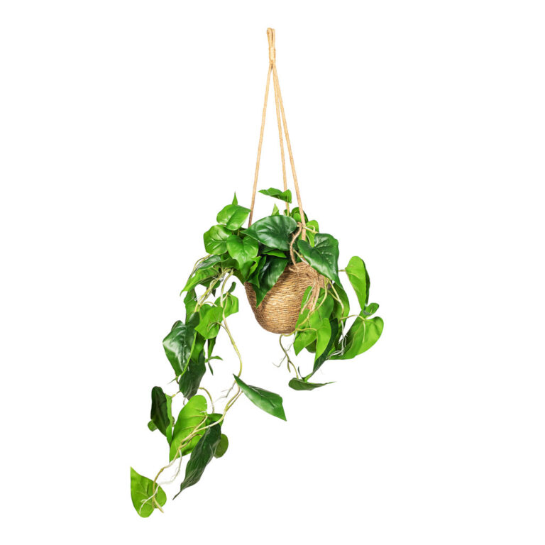 imgi_54_Philodendron-scandens-Sweetheart-Plant-Artificial-80cm-Igmar-Hanging-Basket-Natural-17x14cm_5000x