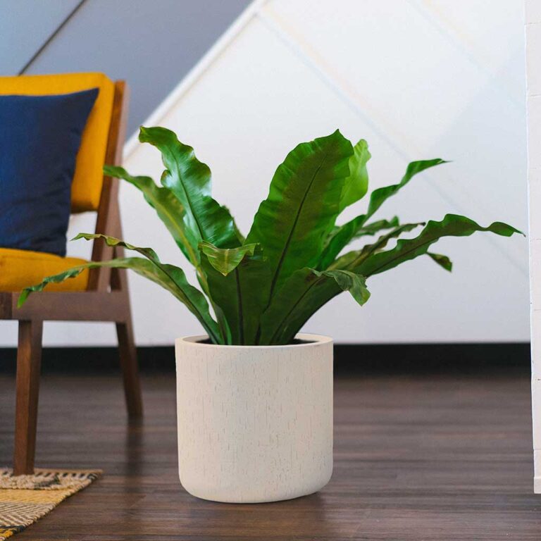 imgi_54_Raindrop-Round-Planter-Stone-Indoor-Plant_2000x