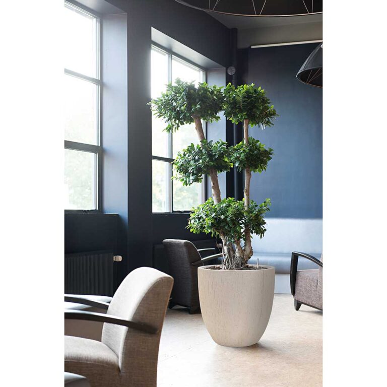 imgi_55_Raindrop-Egg-Planter-Stone-Indoor-Plants_2000x