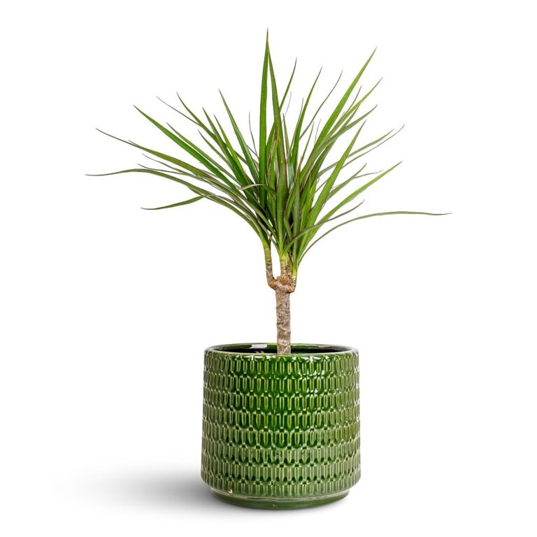 imgi_57_0c8614644a688503fc9ff3dacdd15149