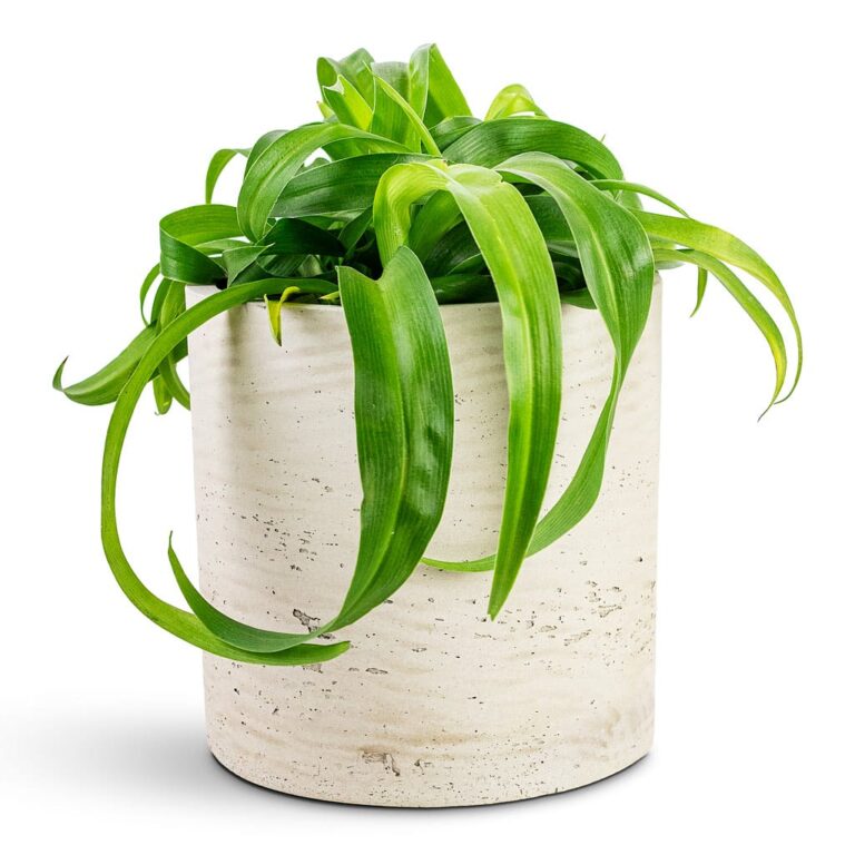 imgi_58_be1c512e155de5f46438ffb7a9903ae9