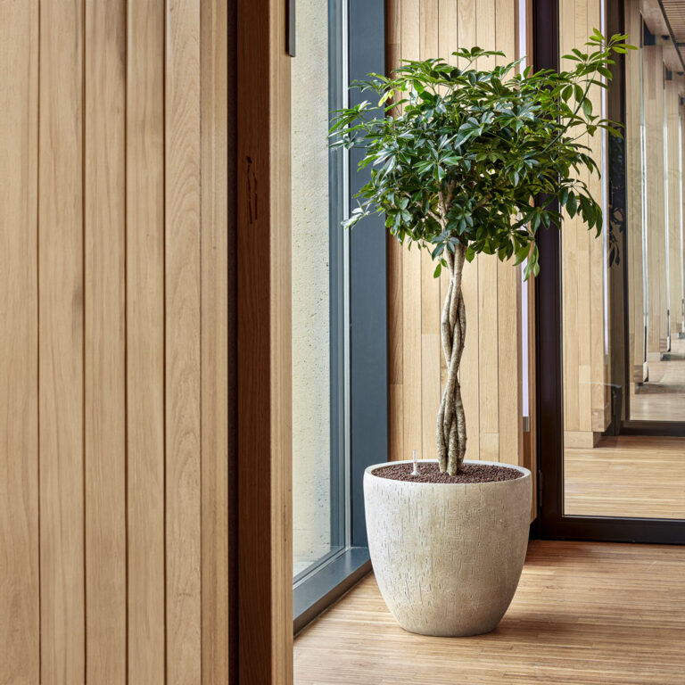 imgi_60_Raindrop-Couple-Stone_2000x