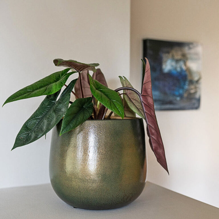 imgi_61_Esra-shiny-green_01_2000x