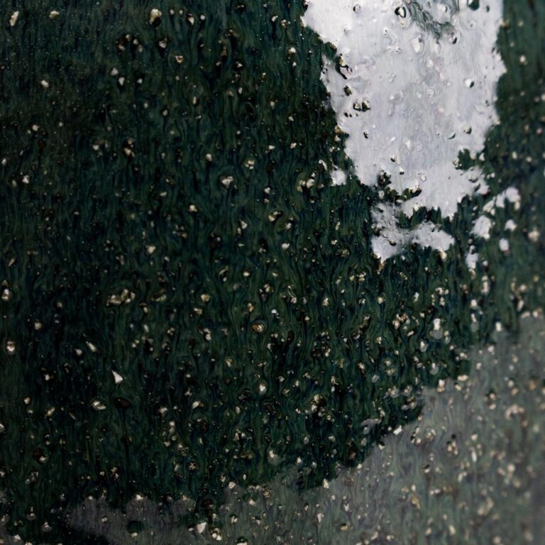 imgi_61_Odile-Pot-Petrol-Swatch_2000x