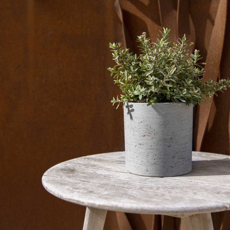 imgi_62_Puk-Plant-Pot--Grey-Washed-Lifestyle2_5000x