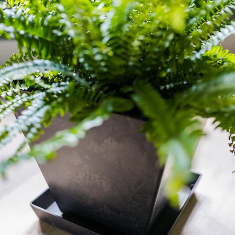 imgi_63_Ella-Artstone-Plant-Pot-Black-4_5000x