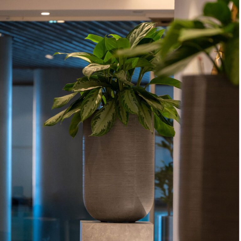 imgi_64_CodyPlantVase-RidgedDarkGrey-6_5000x