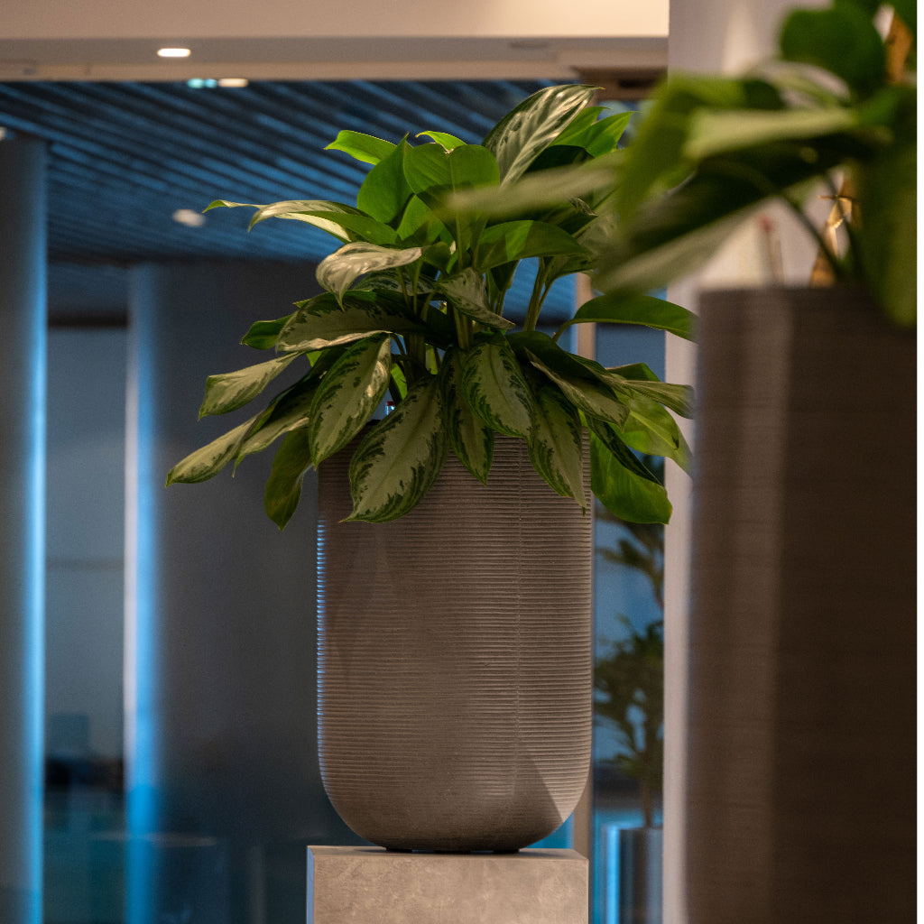 imgi_64_CodyPlantVase-RidgedDarkGrey-6_5000x