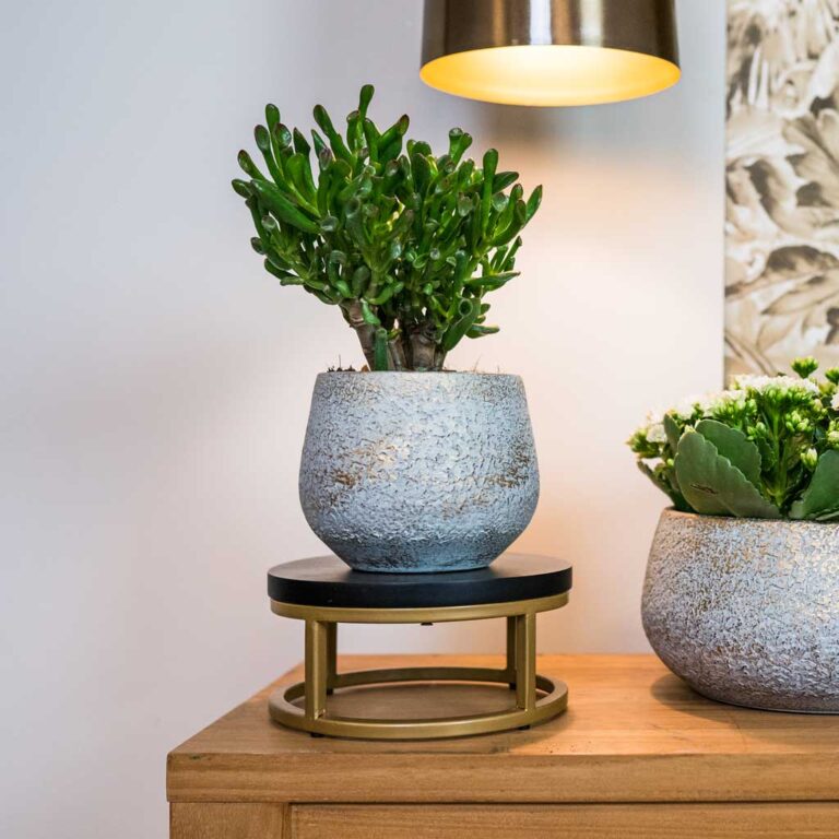 imgi_64_Noor-Plant-Pot-Metallic-Grey-6_2000x