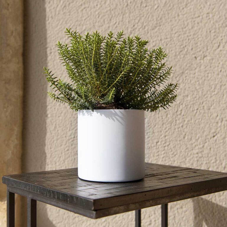 imgi_66_Puk-Planter-Matt-White-Outdoor-Plant_2000x