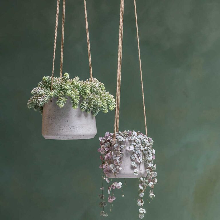imgi_70_Patt-Hanging-Plant-Pots-Grey-Washed-String-Of-Hearts_2000x