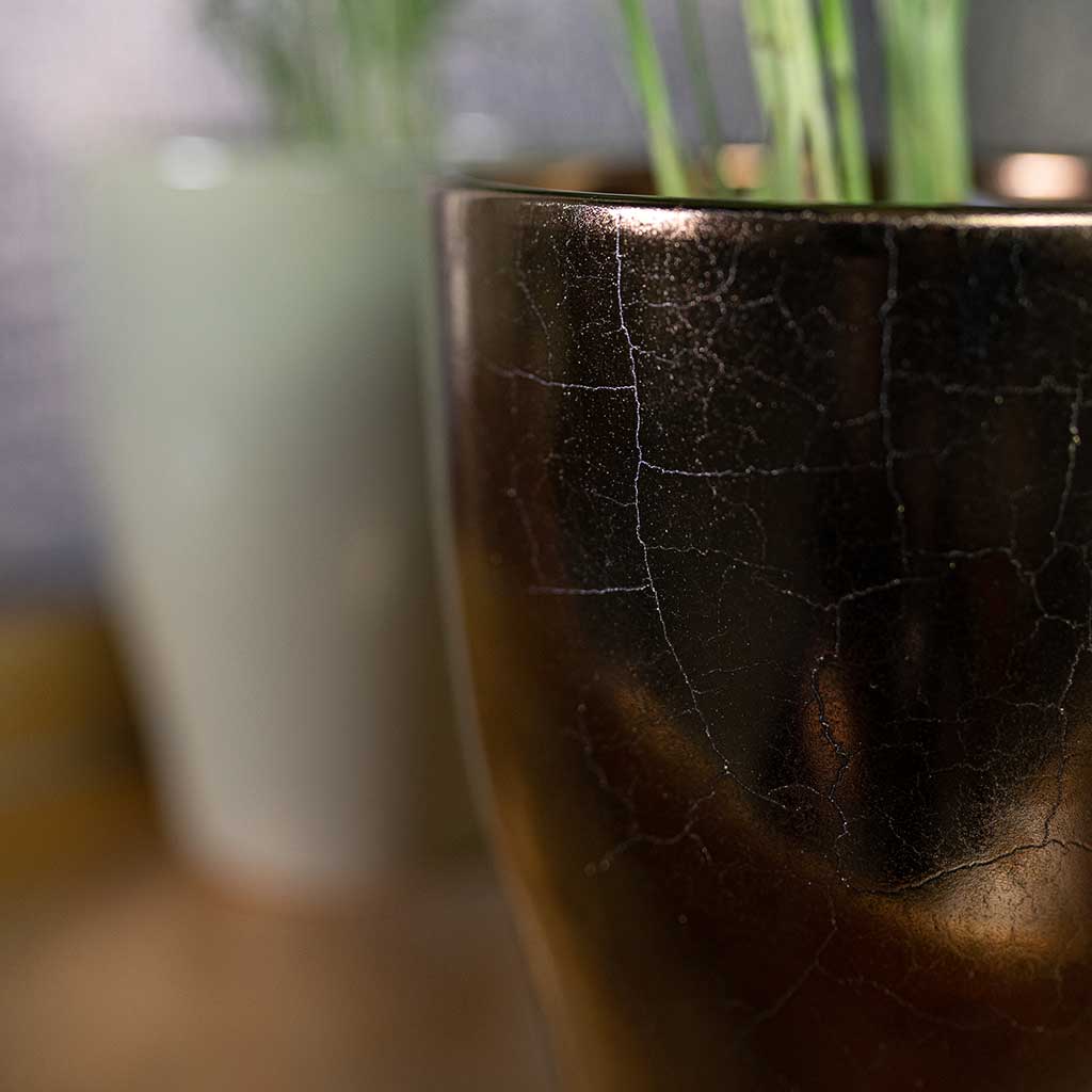 imgi_77_Sven-Gold-Close-Up_2000x