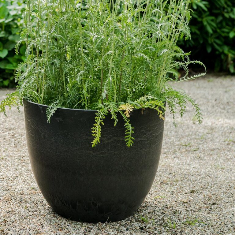 imgi_86_Bola-Artstone-Plant-Pot-Black-3_5000x