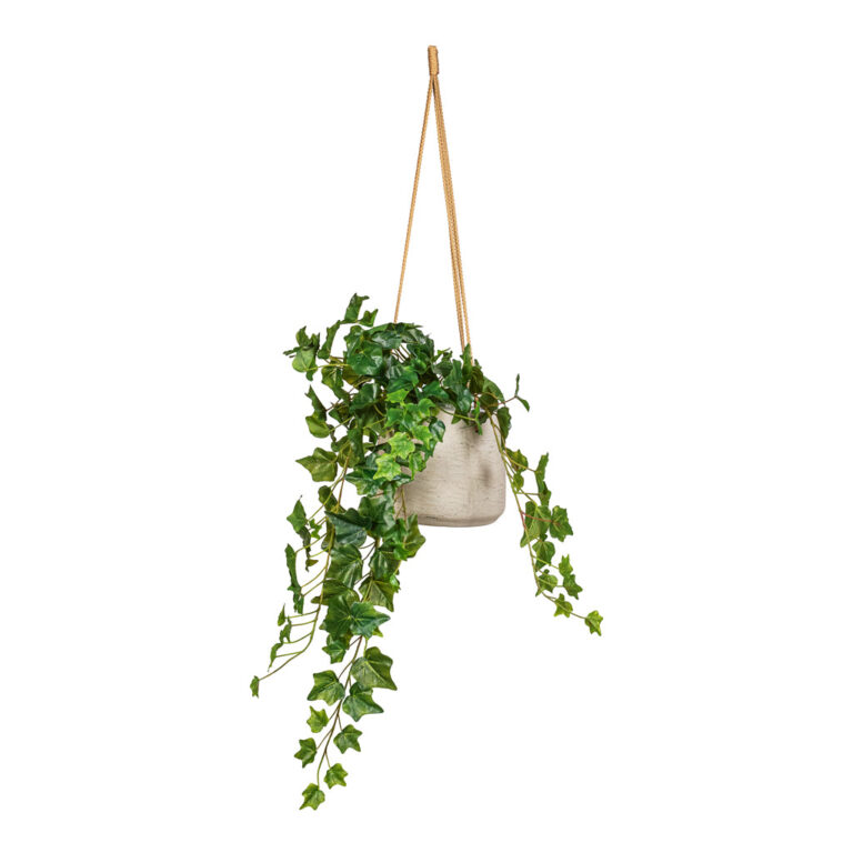 imgi_88_Ivy-Hanging-Bush-Artificial-70cm-Patt-Hanging-Pot-Grey-Washed-20x17cm_5000x
